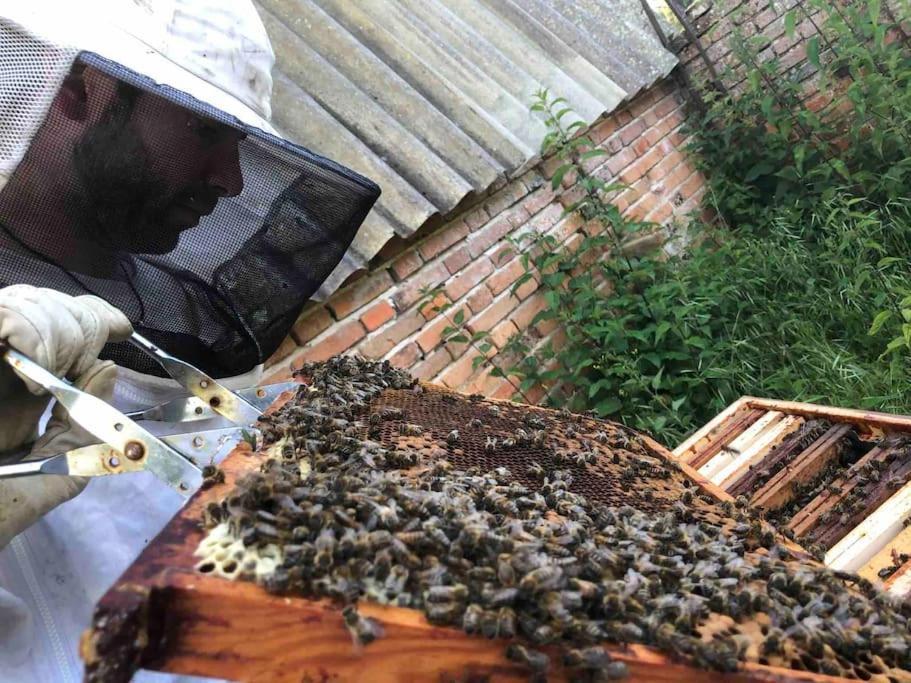 Maison Au Milieu Des Bois Et Des Animaux Jouy-le-Potier Ngoại thất bức ảnh